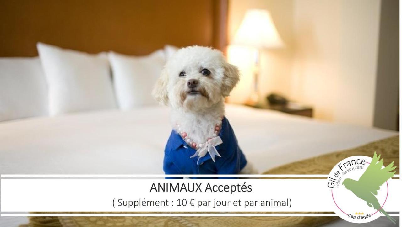 Hotel & Spa Gil De France Cap D'Agde Εξωτερικό φωτογραφία